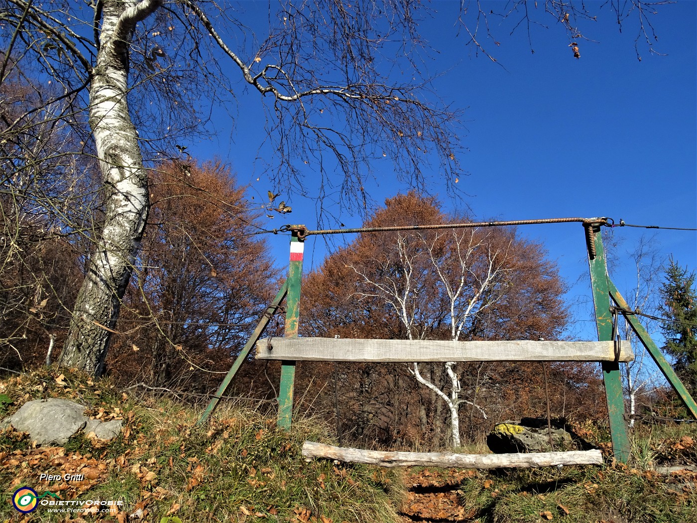 40 Rientro nel bosco annunciato da belle betulle al cancelletto .JPG